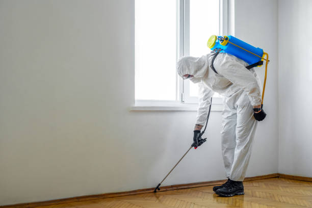 Best Bed Bug Extermination  in Atlantic Beach, NC